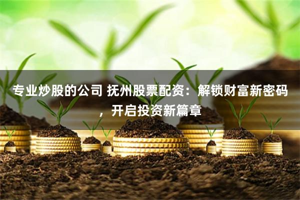 专业炒股的公司 抚州股票配资：解锁财富新密码，开启投资新篇章