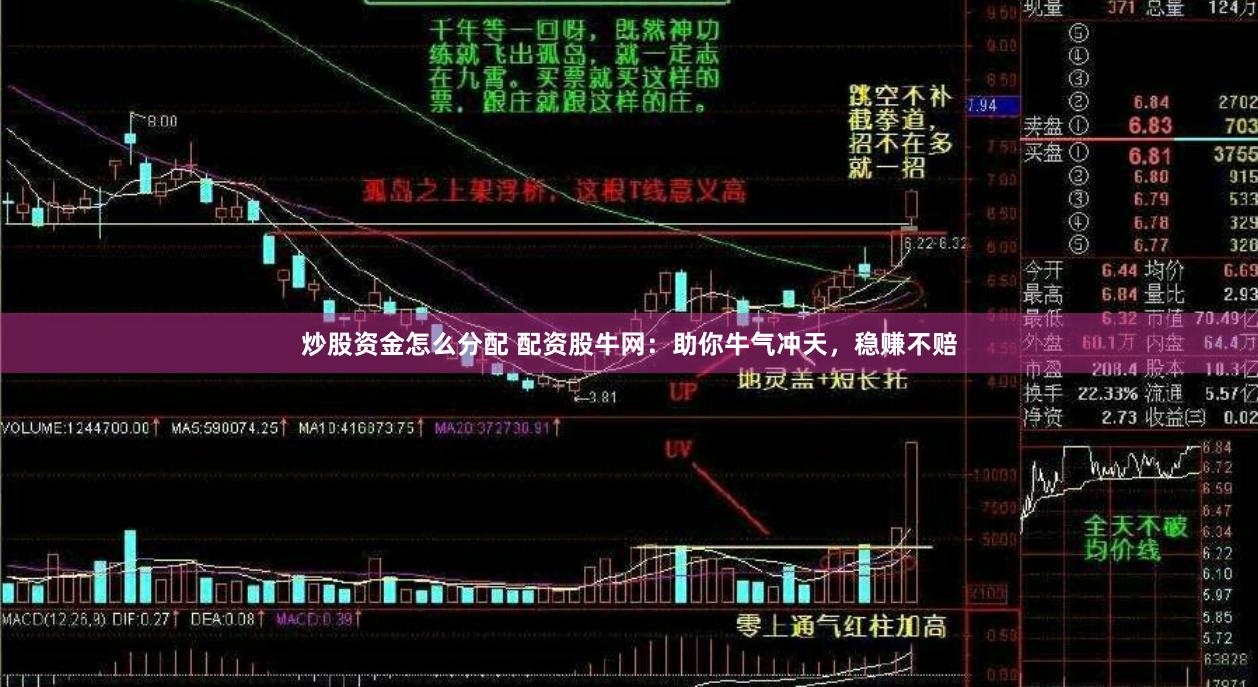 炒股资金怎么分配 配资股牛网：助你牛气冲天，稳赚不赔