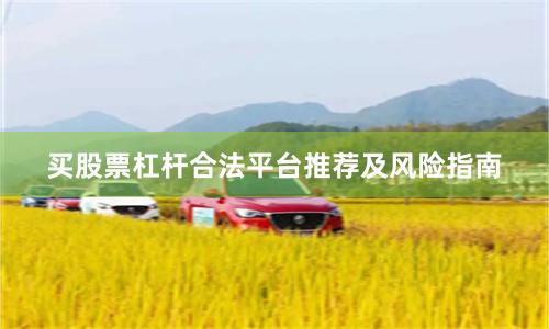 买股票杠杆合法平台推荐及风险指南