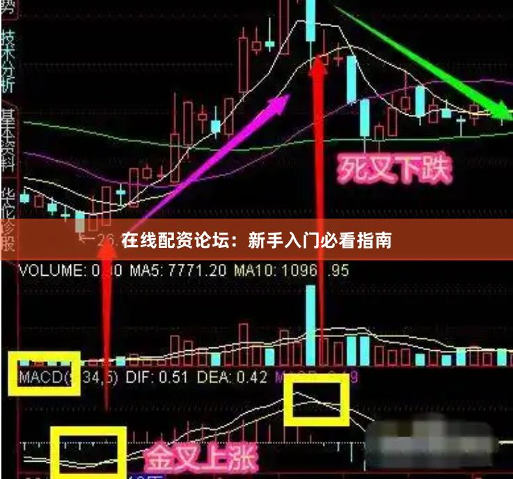 在线配资论坛：新手入门必看指南