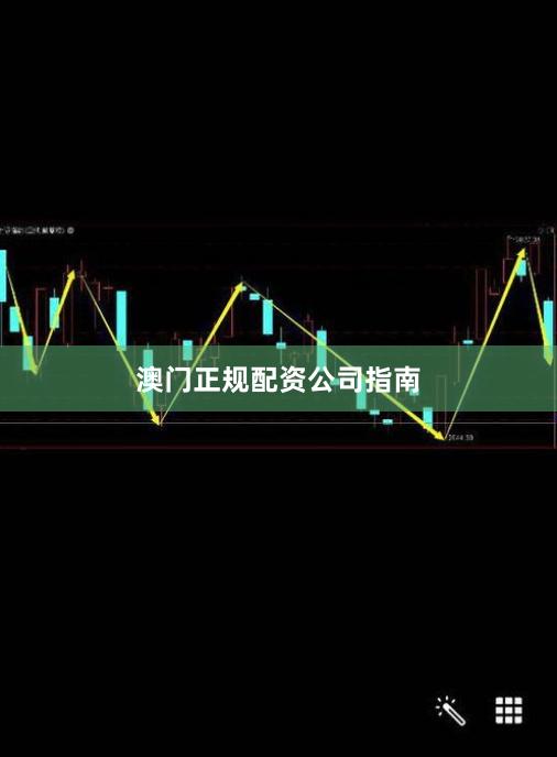 澳门正规配资公司指南