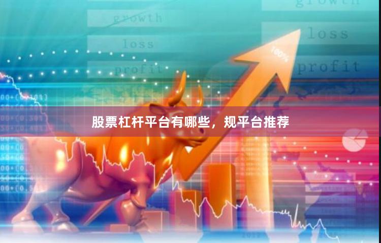股票杠杆平台有哪些，规平台推荐